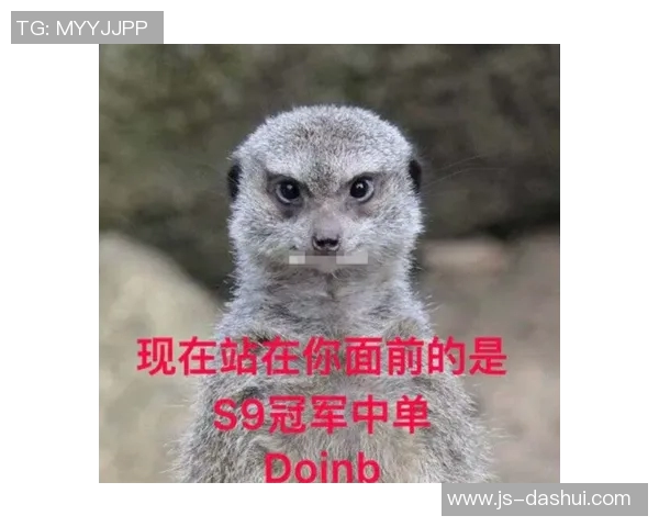 王者荣耀战术解析FPX包夹策略的深层次运用与影响 王者荣耀战术解析FPX包夹策略的深层次运用与影响