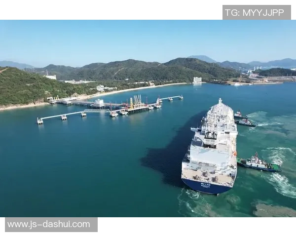 LNG精英赛特别报道揭示突破历程与未来发展潜力实时新闻 LNG精英赛特别报道揭示突破历程与未来发展潜力实时新闻